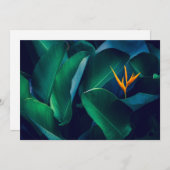 Flowers | Bird of Paradise Bedankkaart (Voorkant / Achterkant)