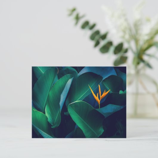 Flowers | Bird of Paradise Briefkaart (Staand voorkant)