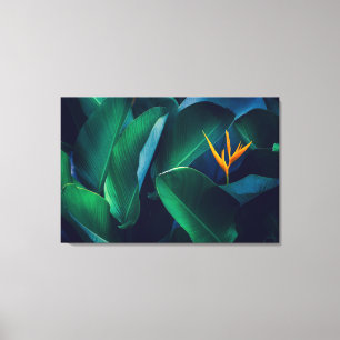 Flowers   Bird of Paradise Canvas Afdruk