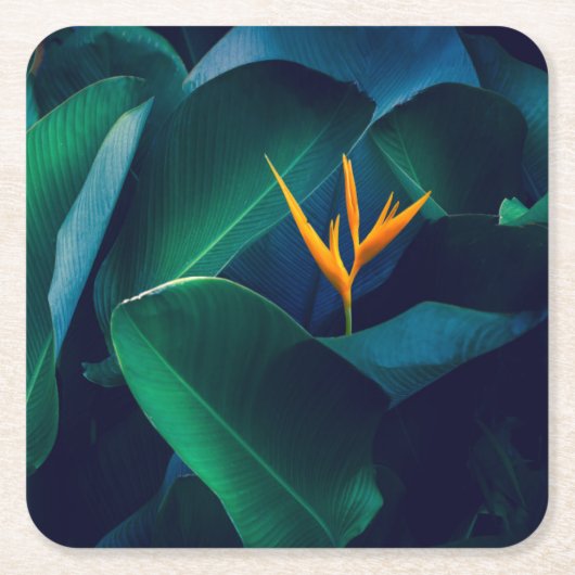 Flowers | Bird of Paradise Kartonnen Onderzetters (Voorkant)