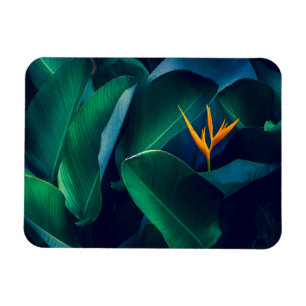Flowers Bird of Paradise Magneet