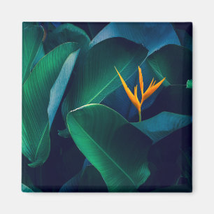 Flowers Bird of Paradise Magneet