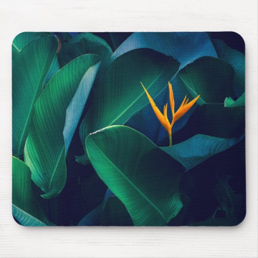 Flowers | Bird of Paradise Muismat (Voorkant)