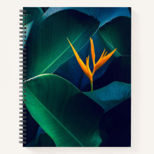 Flowers Bird of Paradise Notitieboek