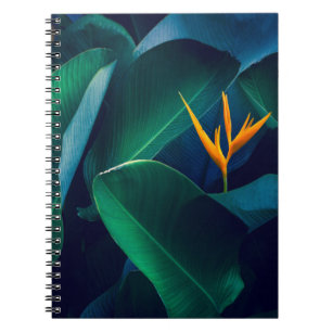 Flowers   Bird of Paradise Notitieboek