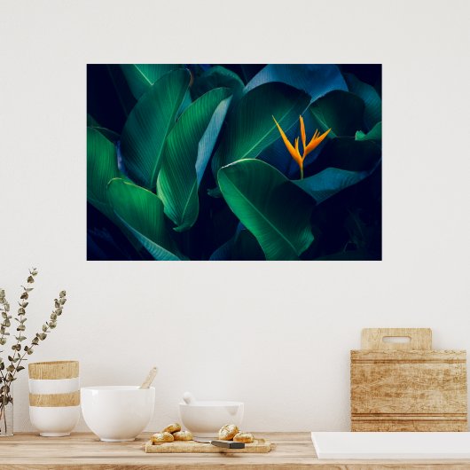 Flowers | Bird of Paradise Poster (Keuken)
