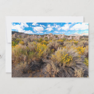 Flowers   Blooming Sagebrush California Bedankkaart