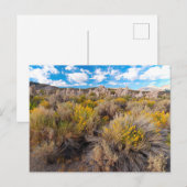 Flowers | Blooming Sagebrush California Briefkaart (Voorkant / Achterkant)