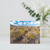 Flowers | Blooming Sagebrush California Briefkaart (Staand voorkant)