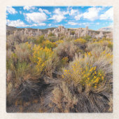 Flowers | Blooming Sagebrush California Glazen Onderzetter (Voorkant)