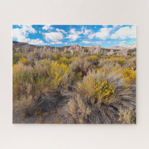 Flowers   Blooming Sagebrush California Legpuzzel