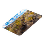 Flowers | Blooming Sagebrush California Magneet (Linkerzijde)