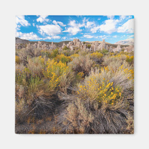 Flowers Blooming Sagebrush California Magneet