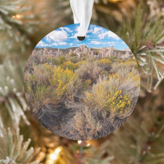 Flowers | Blooming Sagebrush California Ornament (Boom)