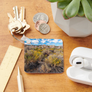 Flowers Blooming Sagebrush California Sleutelhanger