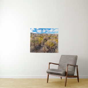 Flowers   Blooming Sagebrush California Wandkleed