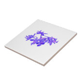 Flowers Blue Tinted Ground Orchid Tegeltje (Zijkant)
