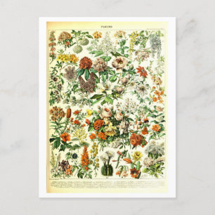  Flowers Botanische Illustratie Briefkaart