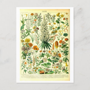  Flowers Botanische Illustratie Briefkaart