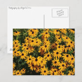 Flowers Briefkaart (Voorkant / Achterkant)