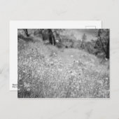 Flowers Briefkaart (Voorkant / Achterkant)