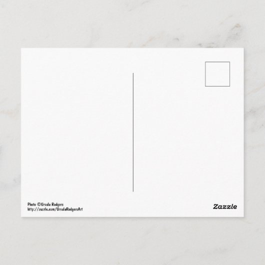 Flowers Briefkaart (Achterkant)