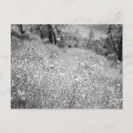 Flowers Briefkaart (Voorkant)