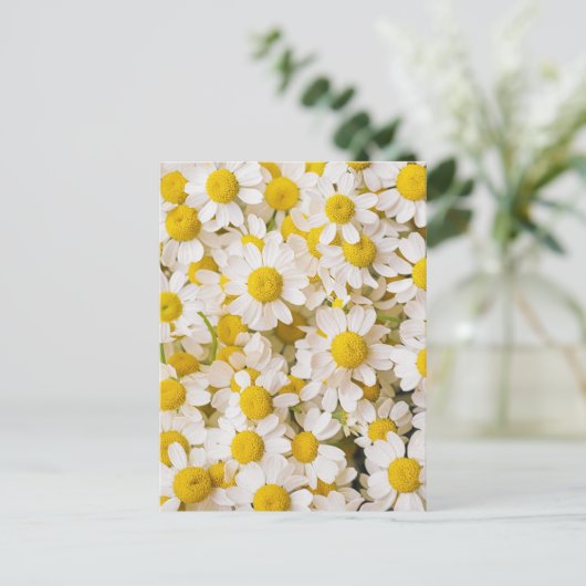 Flowers | Bunch of Chamomiles Briefkaart (Staand voorkant)