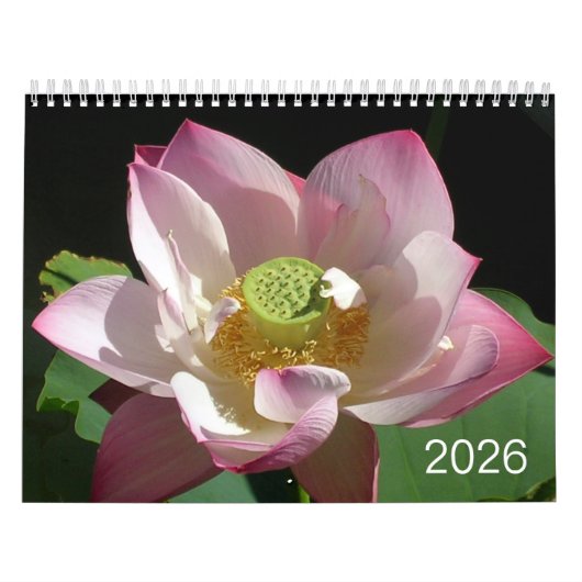 Flowers Calendar 2026 Kalender (Hoes)