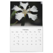 Flowers Calendar Kalender (Feb 2026)