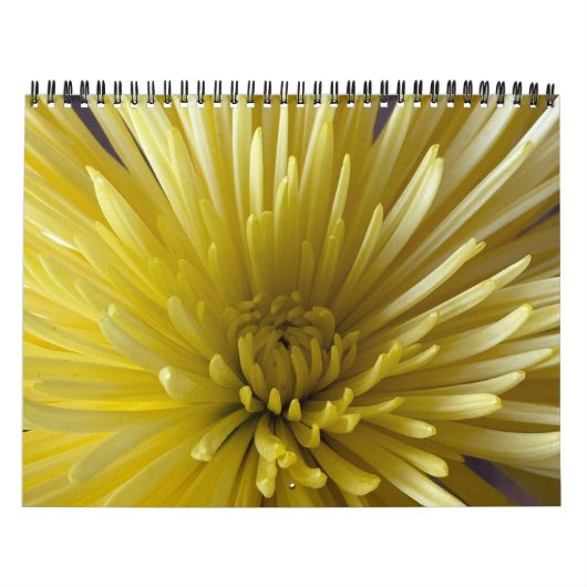 Flowers Calendar Kalender (Hoes)