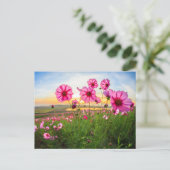 Flowers |Chiang Rai Province, Thailand Briefkaart (Staand voorkant)