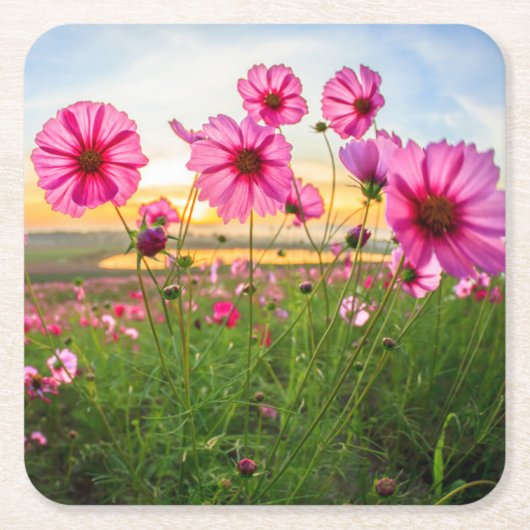 Flowers |Chiang Rai Province, Thailand Kartonnen Onderzetters (Voorkant)