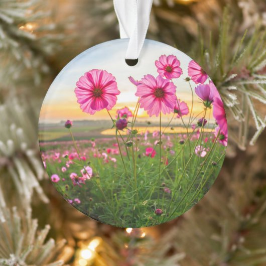 Flowers |Chiang Rai Province, Thailand Ornament (Boom)