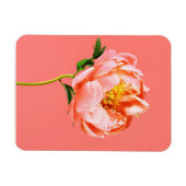 Flowers | Coral Peony Blossom Magneet (Horizontaal)