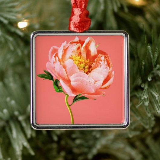 Flowers | Coral Peony Blossom Metalen Ornament (Boom)