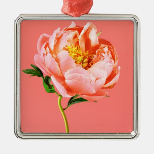 Flowers | Coral Peony Blossom Metalen Ornament (Voorkant)