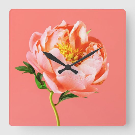 Flowers | Coral Peony Blossom Vierkante Klok (Voorkant)