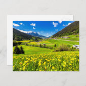 Flowers | Dandelion Canton of Grisons, Switzerland Briefkaart (Voorkant / Achterkant)