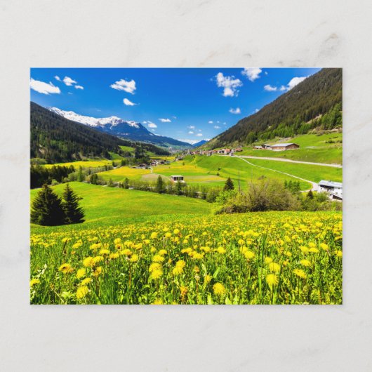 Flowers | Dandelion Canton of Grisons, Switzerland Briefkaart (Voorkant)