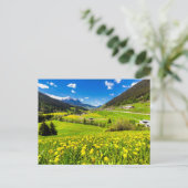 Flowers | Dandelion Canton of Grisons, Switzerland Briefkaart (Staand voorkant)