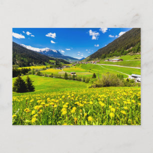 Flowers   Dandelion Canton of Grisons, Switzerland Briefkaart