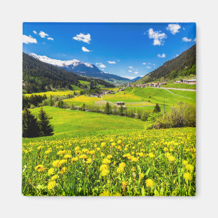 Flowers   Dandelion Canton of Grisons, Switzerland Magneet