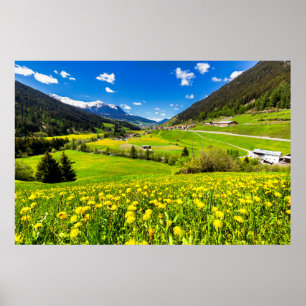 Flowers Dandelion Canton of Grisons, Switzerland Poster
