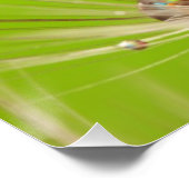 Flowers Dandelion Weddenschap Shower Love Peace Perfect Poster (Hoek)