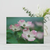 Flowers | Dogwood Blossoms Bedankkaart (Staand voorkant)