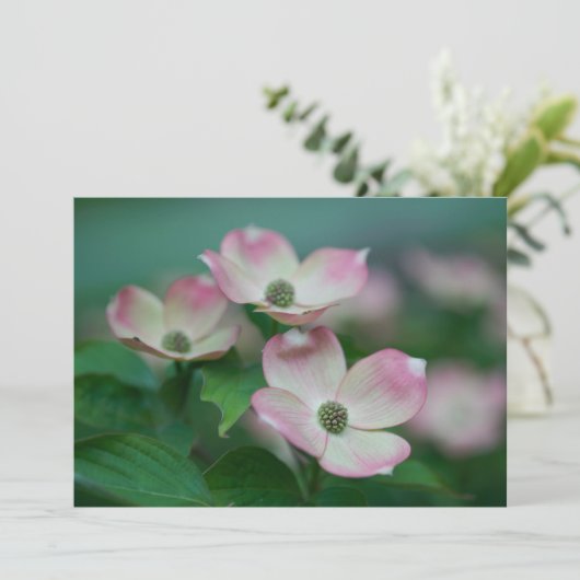 Flowers | Dogwood Blossoms Bedankkaart (Staand voorkant)