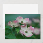 Flowers | Dogwood Blossoms Bedankkaart (Voorkant / Achterkant)