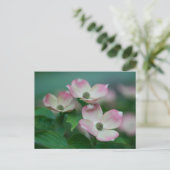 Flowers | Dogwood Blossoms Briefkaart (Staand voorkant)
