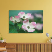 Flowers | Dogwood Blossoms Canvas Afdruk (Insitu (Woonkamer))